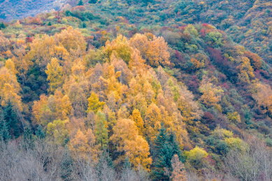 中国甘肃陇南秋天的风光