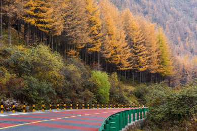 中国甘肃陇南秋天的风光