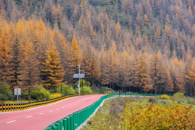 中国甘肃陇南秋天的风光