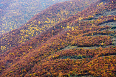 中国甘肃陇南秋天的风光