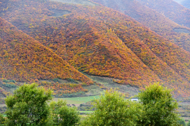 中国甘肃陇南秋天的风光