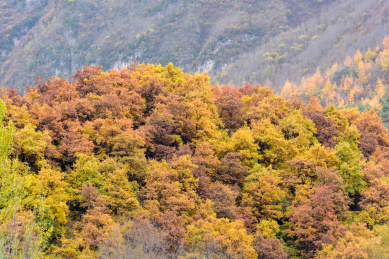 中国甘肃陇南秋天的风光