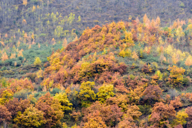 中国甘肃陇南秋天的风光