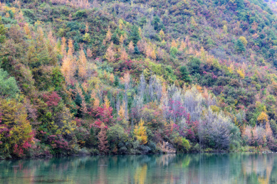 中国甘肃宕昌官鹅沟秋色