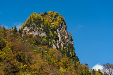 中国甘肃宕昌官鹅沟秋色