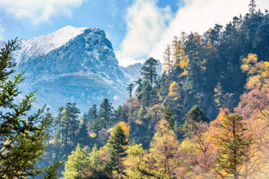 中国甘肃宕昌官鹅沟秋色
