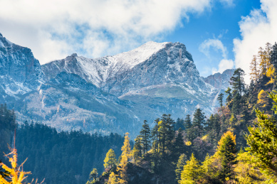 中国甘肃宕昌官鹅沟秋色