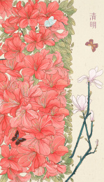 清明杜鹃玉兰花工笔绘画插图