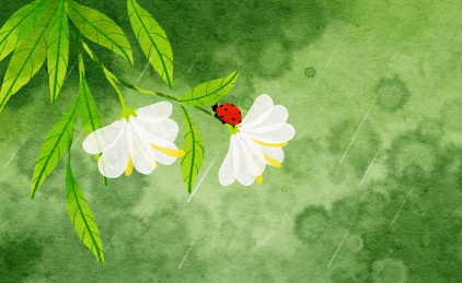 春天花朵上的七星瓢虫水彩插画