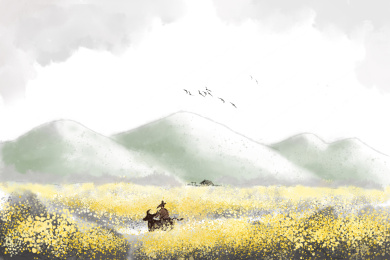 放牛郎在油菜花田里放牛中国风清明节插画