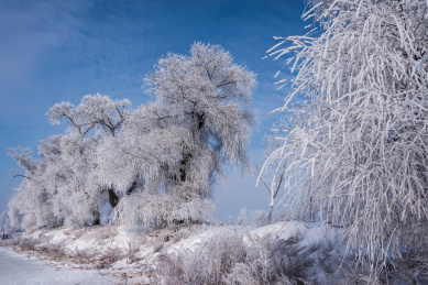 中国吉林省吉林市雾凇岛风光
