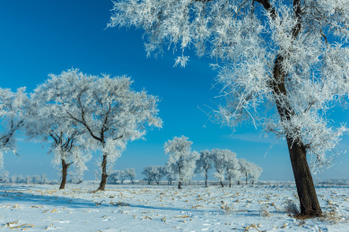 中国吉林省吉林市雾凇岛风光
