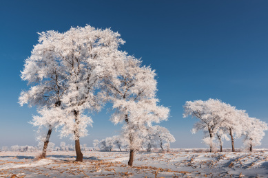 中国吉林省吉林市雾凇岛风光