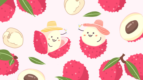 夏天日水果荔枝插画