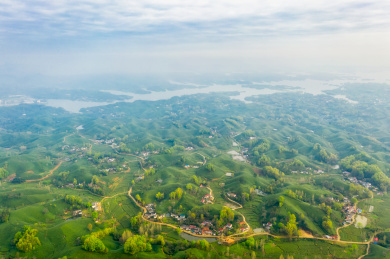 河南信阳南湾湖畔浉河港茶园春季户外航拍