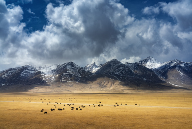 中国西藏自治区那曲美丽的那曲草原