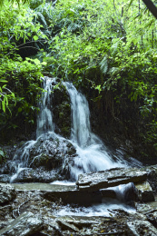 河南省南阳市淅川县坐禅谷瀑布