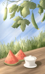 夏天静物插画