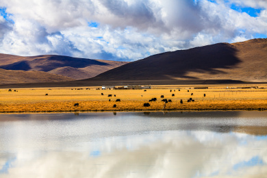 中国西藏那曲自然风光旅游