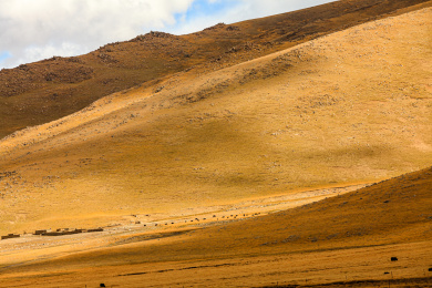 中国西藏那曲自然风光旅游