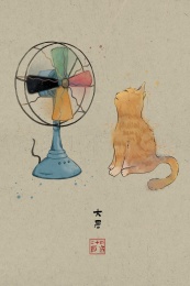 二十四节气大暑猫咪吹风扇