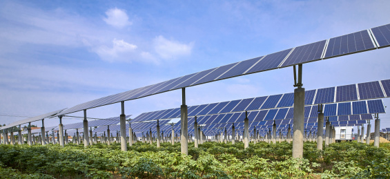 户外的太阳能光伏面板