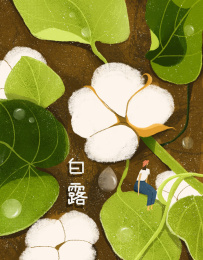 白露节气插画