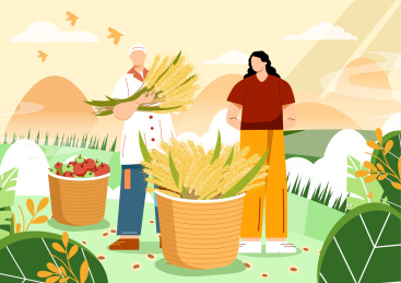 二十四节气之芒种