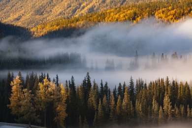 中国新疆喀纳斯晨雾弥漫的秋天景色