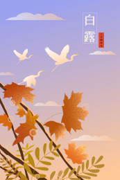 秋叶白露霜降节气矢量插画