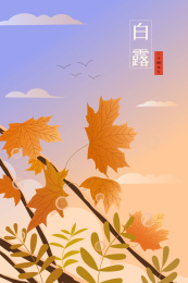 秋天叶子白露霜降节气矢量海报插画