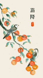 中国风秋天柿子插画
