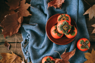 秋天的柿子朱果