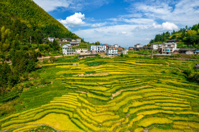 中国福建省尤溪县联合梯田航拍风光