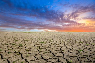 干旱开裂的土地景观