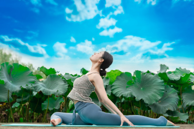 一位年轻女性在荷花池边练习瑜伽