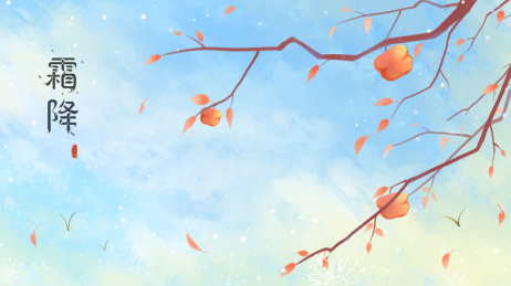 树上结着成熟的柿子霜降节气手绘插画海报