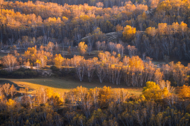 中国内蒙古乌兰布统秋景