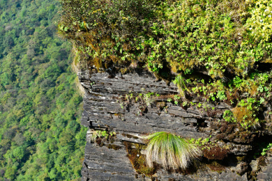 贵州省铜仁市世界自然遗产地梵净山景区风光