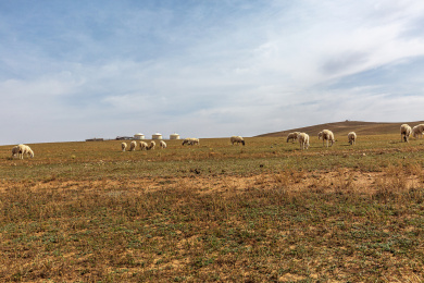 中国内蒙古包头达茂旗希拉穆仁草原风光