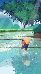 人在田地里插秧苗