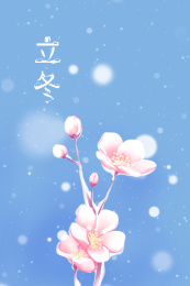 沾着雪的梅花树枝纯色简约立冬节气海报