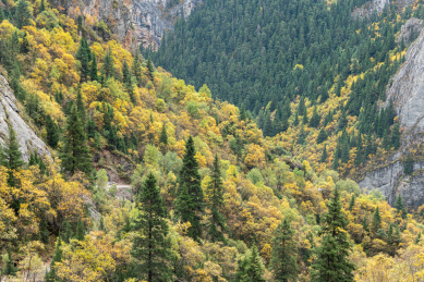 甘肃甘南扎尕那