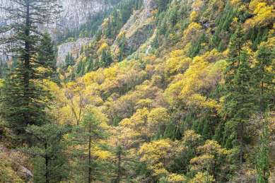 甘肃甘南扎尕那