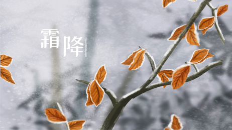 霜降插画冰冻的树叶