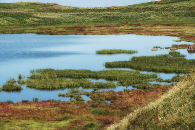 中国云南昭通大山包的湿地风景