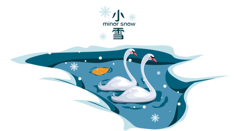 节气小雪天鹅湖里游泳冬天矢量插画