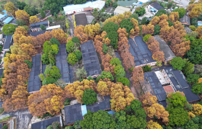 贵州省遵义市中心城区被秋色浸染，景色迷人
