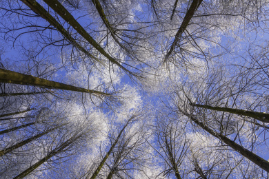 中国湖北宜昌大老岭国家级自然保护区雪景