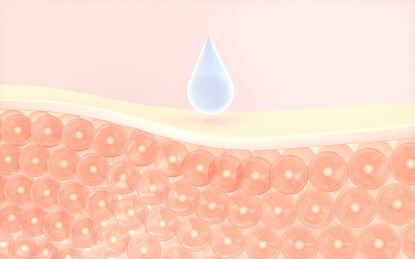 皮肤细胞与吸收的液滴3D渲染